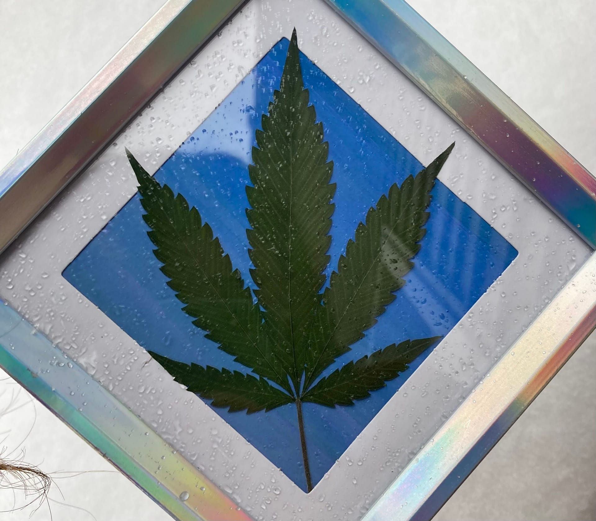 Custom cannaart – small framed leaf