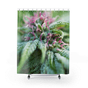 Blooming with Purple Cannabis Shower Curtain