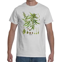 Cannabis Diagram Shirt
