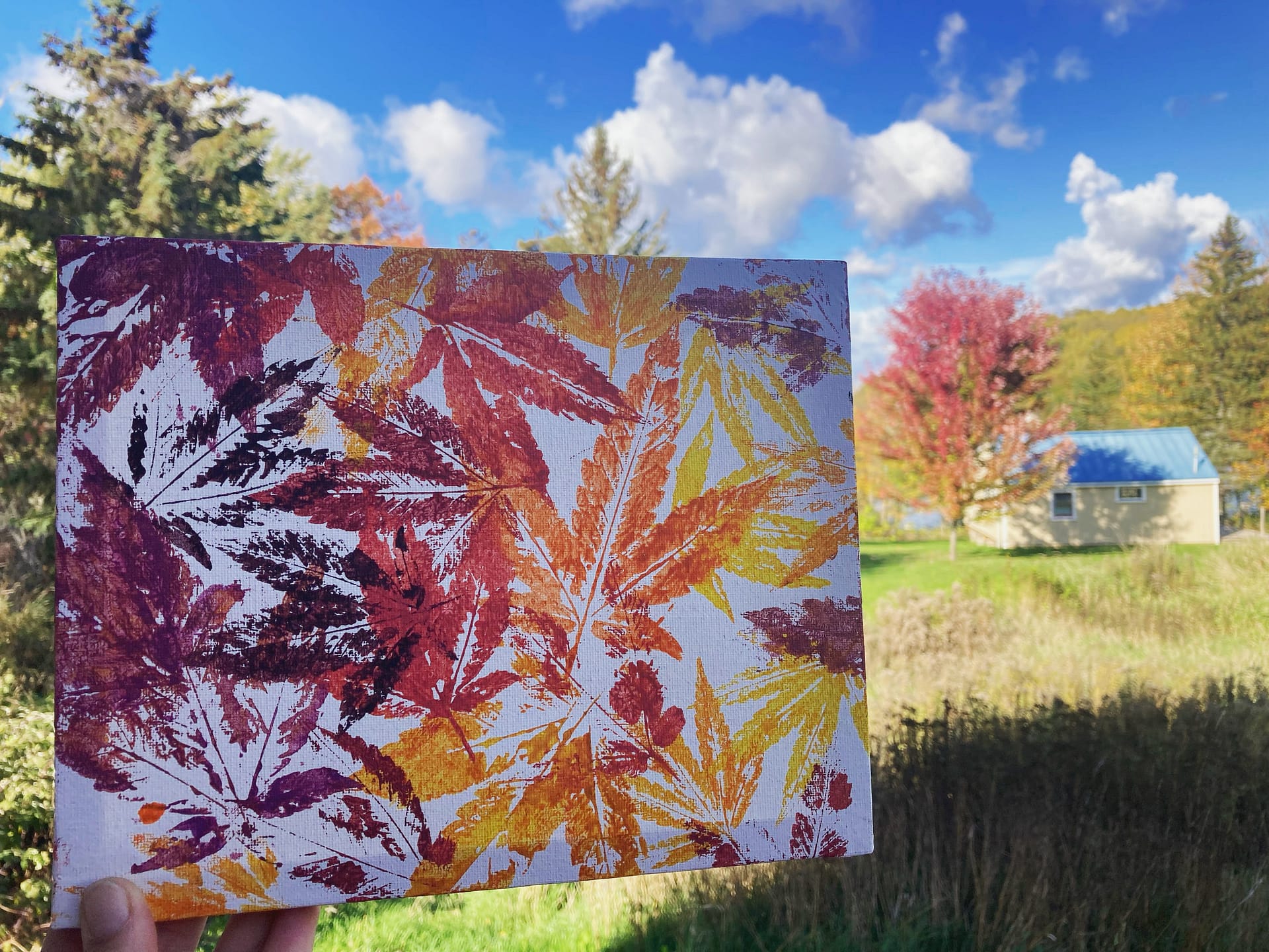 Cannabis Leaf printed canvas art